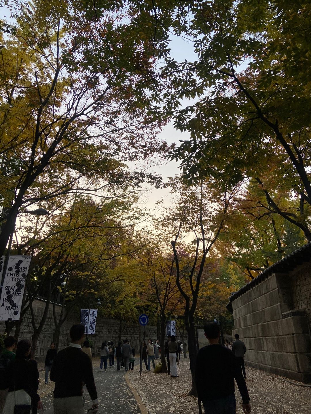 항상 인파로 북적이지만 자연이 주는 회복 효과가 뛰어난 서울 돌담길 