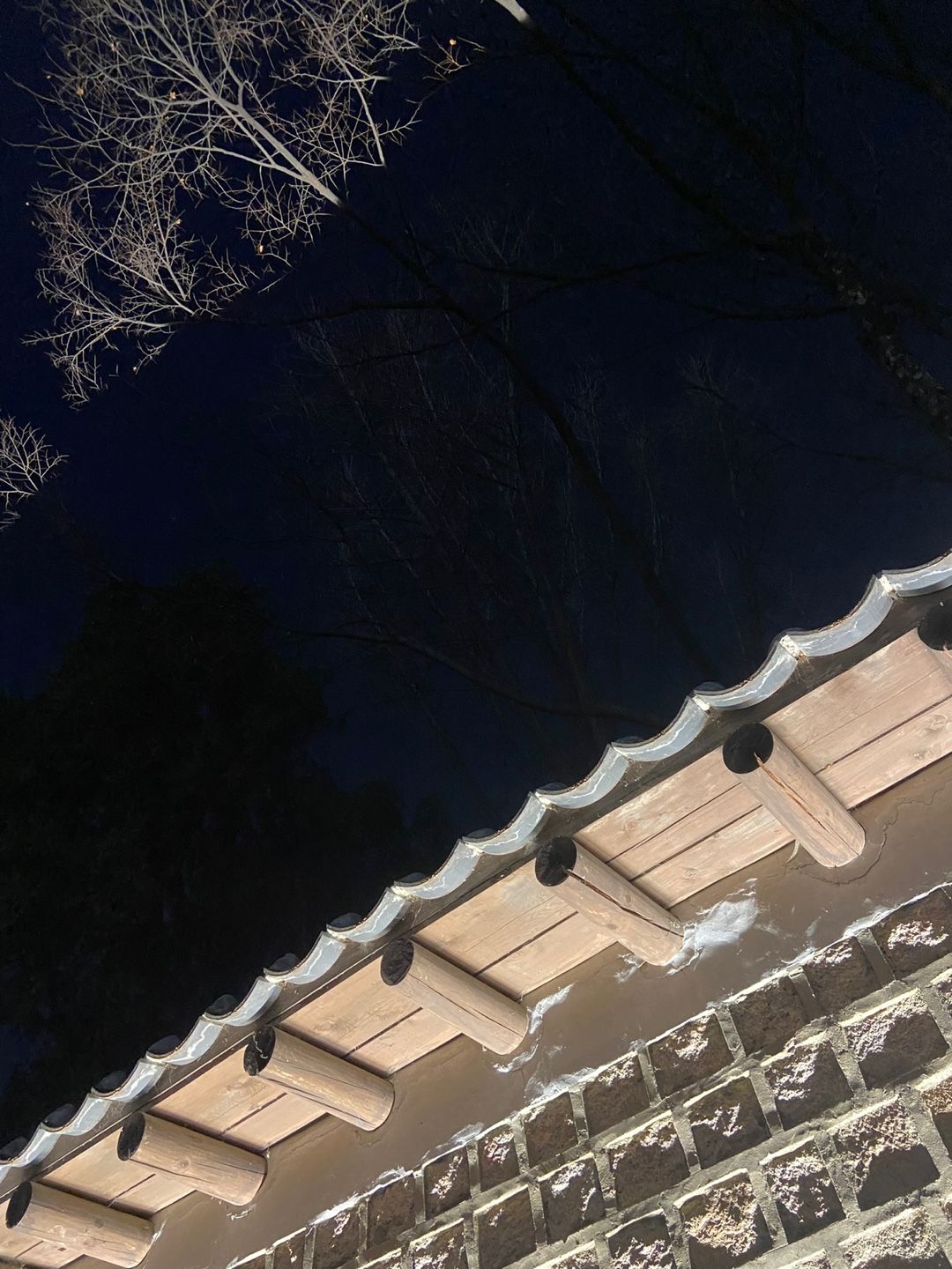 생각이 복잡할 때 찾는 밤의 덕수궁 돌담길 