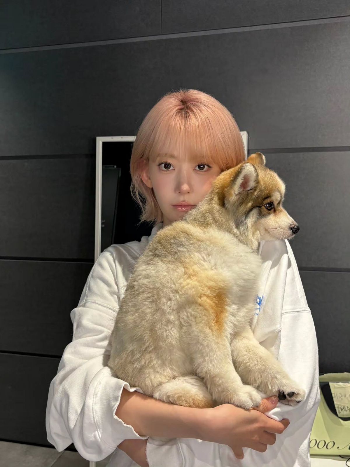 핑크 단발에 아웃 C컬을 넣은 사쿠라 | 인스타그램@39saku_chan