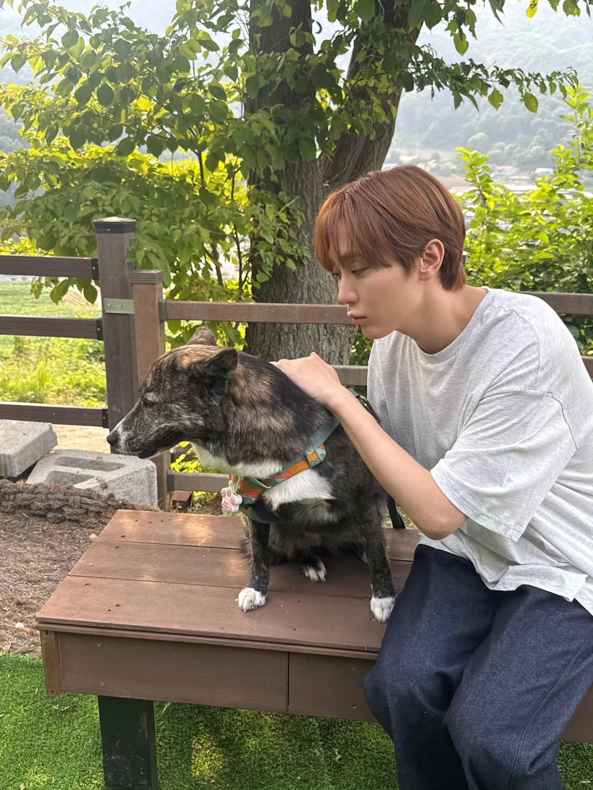브라운과 베이지 그 중간! 밀크티 브라운 헤어를 한 세븐틴 승관 | 인스타그램 @pledis_boos