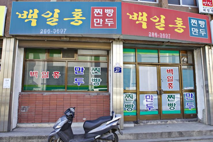 백일홍