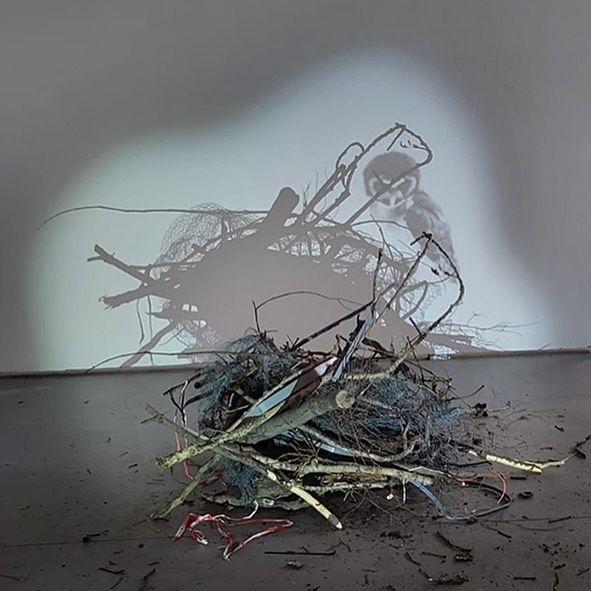  인스타그램 @tangcontemporaryartseoul