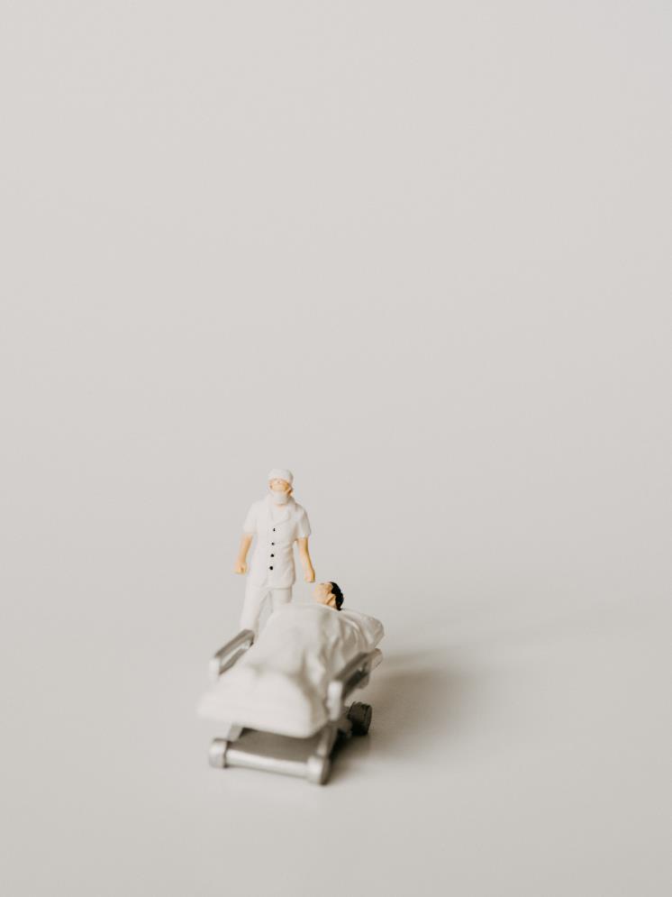  Annie Spratt / Unsplash