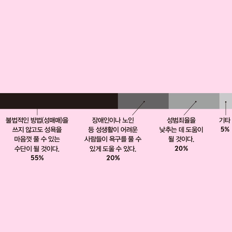 기타 이유 : ‘불법이 아니라면 막을 이유가 없다’, ‘남의 취향에 왈가왈부할 필요가 없다’ 등