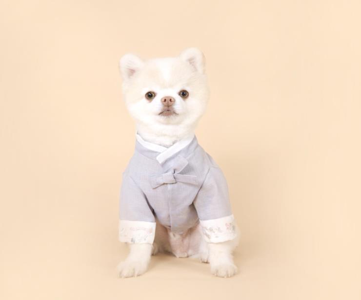 오브 스페이스 은백양 한복 두루마기 7만 1천 원