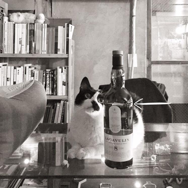 @booksperience