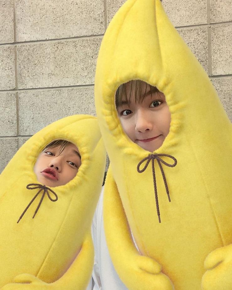 엑소 백현