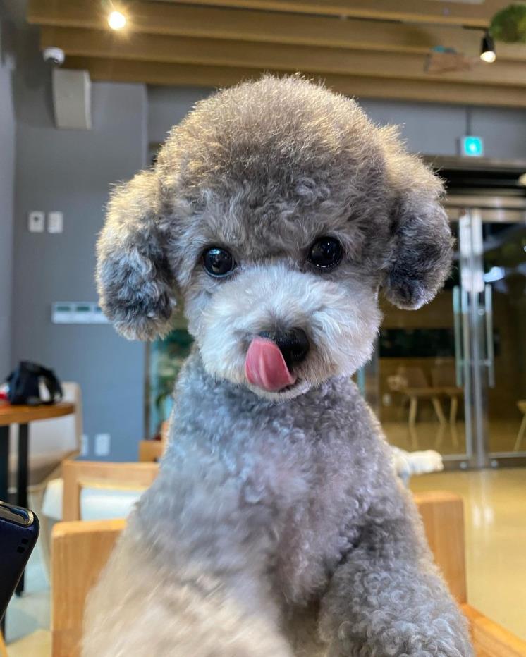 @zero.taeyeon
