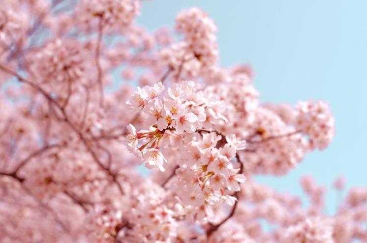 unsplash