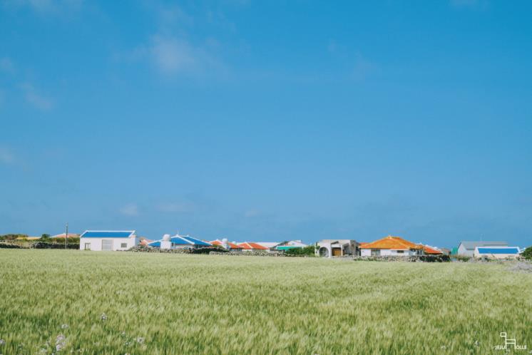 JeJu Olle