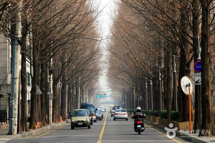 양재천 공원