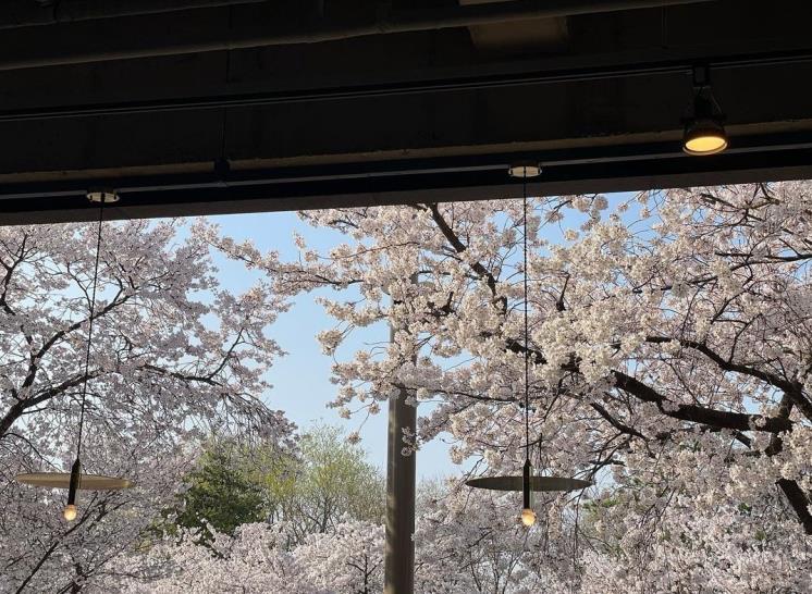 @cafeyard____ 