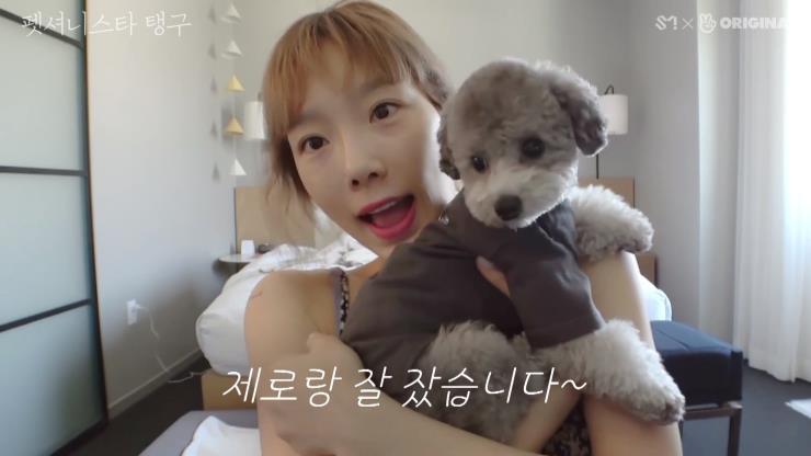 태연