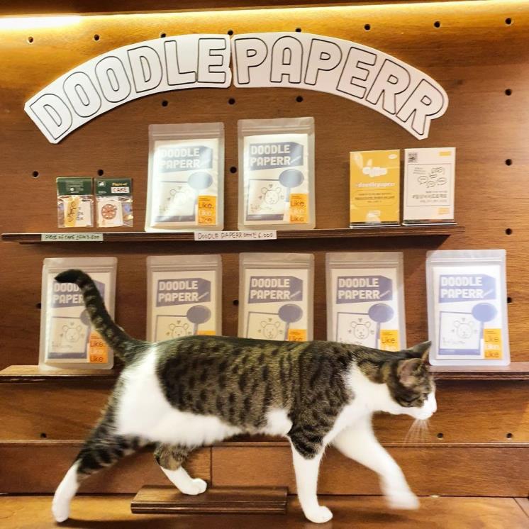 @paperr.bookshop