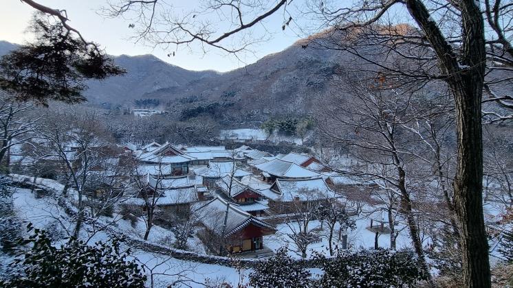 송광사