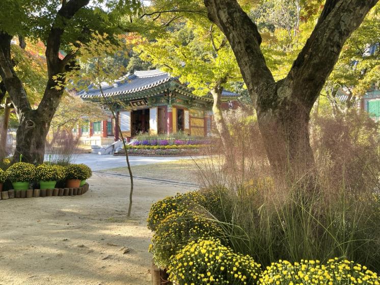 직지사