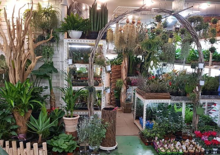 @parkterrarium