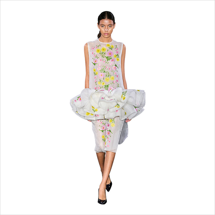 CHRISTOPHER KANE