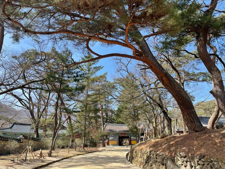 직지사