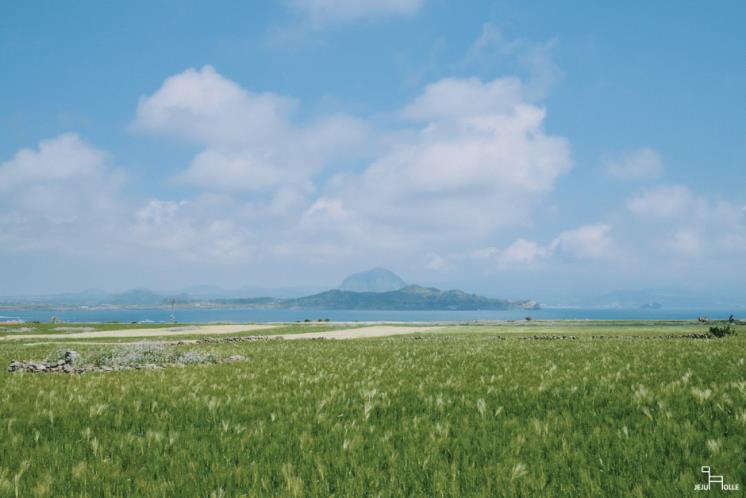 JeJu Olle