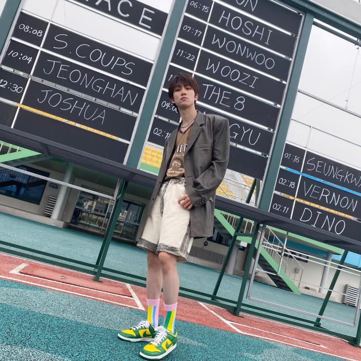 세븐틴 디에잇