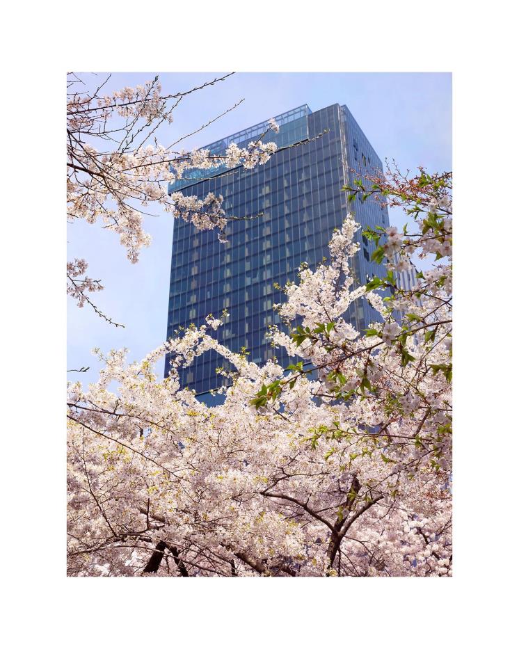 @sofitelseoul