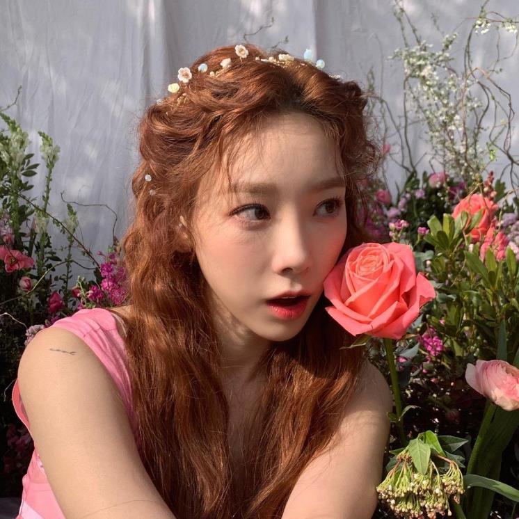 태연